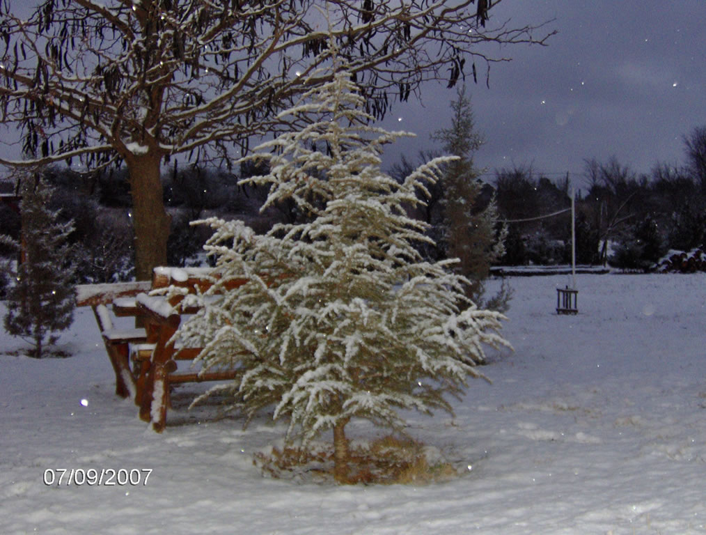 Parque nevado Julio 2007